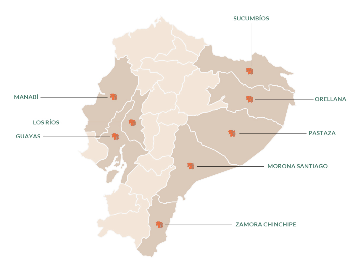 Mapa de regiones productoras de cacao en Ecuador