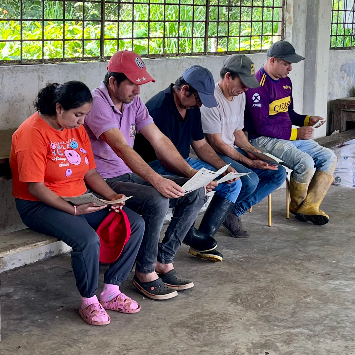 Grupo de productores recibiendo capacitación de Cultivos sostenibles