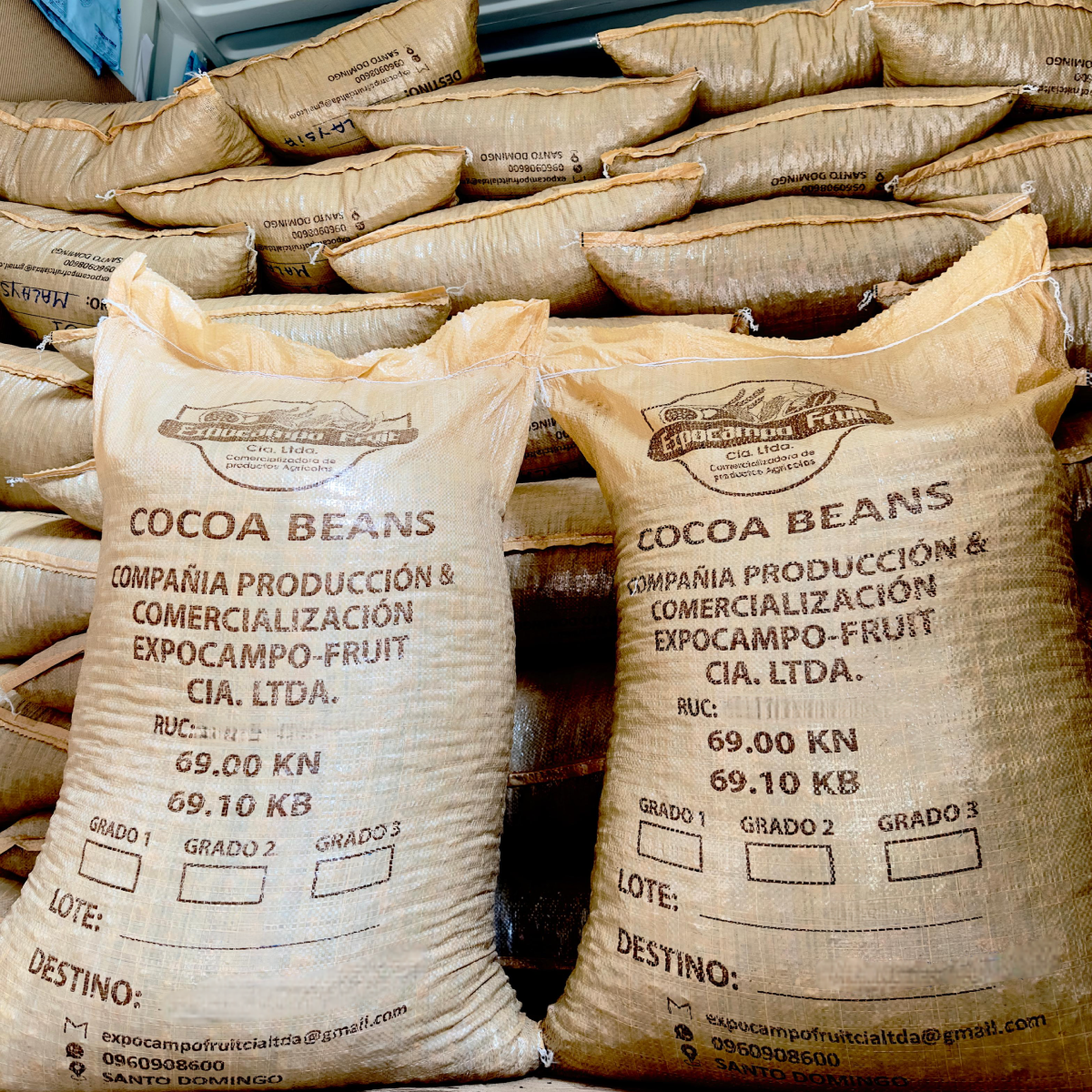 Cacao