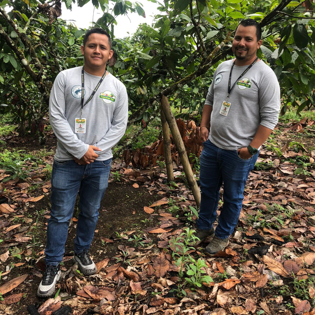 Coordinadores en campo