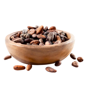 Cacao Premium CCN51